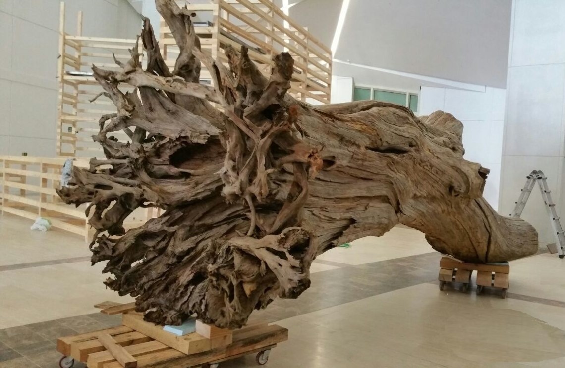 Carlos Seoane Arquitecto 1